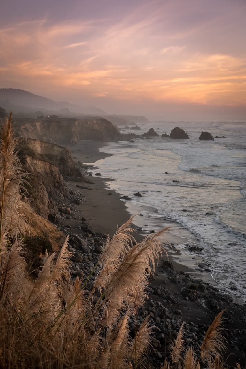 Landscape detail california coast