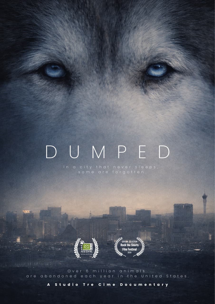 Dumped Poster